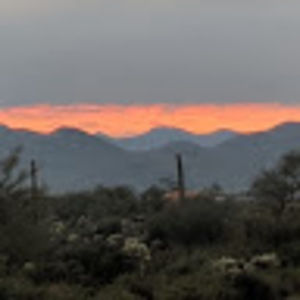 Meet your Posher, Tami-az native